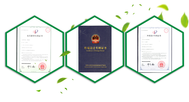 雛鷹計(jì)劃證書(shū)